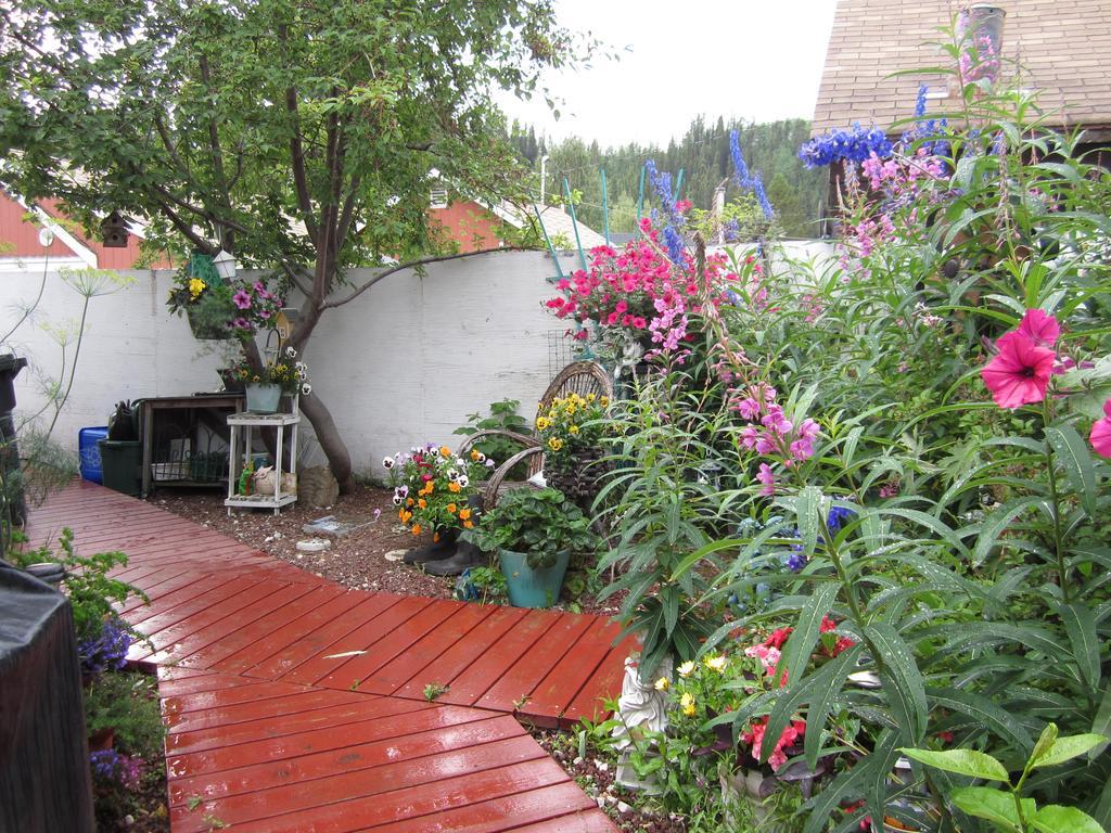 Casey'S Bed & Breakfast Whitehorse Phòng bức ảnh
